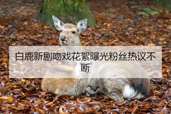 白鹿新剧吻戏花絮曝光粉丝热议不断