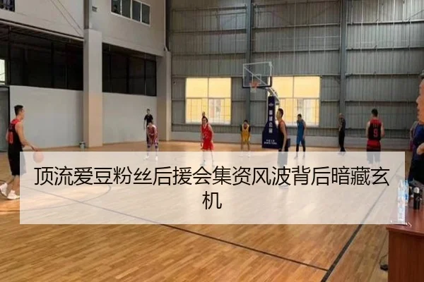 顶流爱豆粉丝后援会集资风波背后暗藏玄机